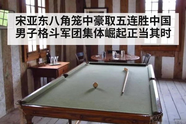 宋亚东八角笼中豪取五连胜中国男子格斗军团集体崛起正当其时
